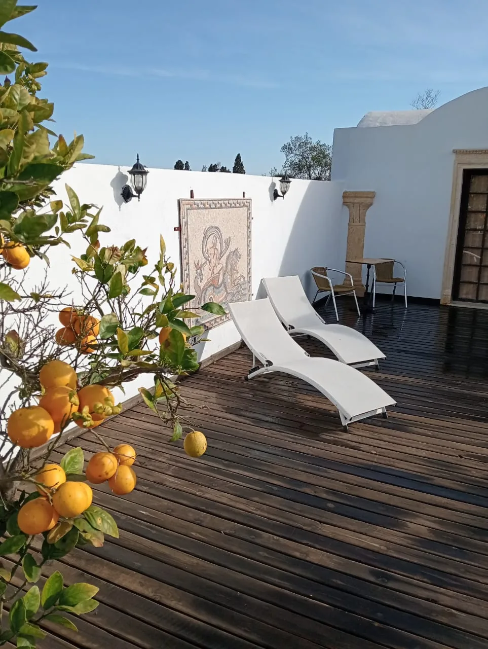 Citrus trees and sun loungers on the garden terrace at the Trinity Soul retreat property in Nabeul, Tunisia